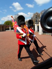 Cambio guardia Buckingham Palace