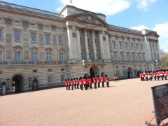 cambio guardia Buckingham Palace